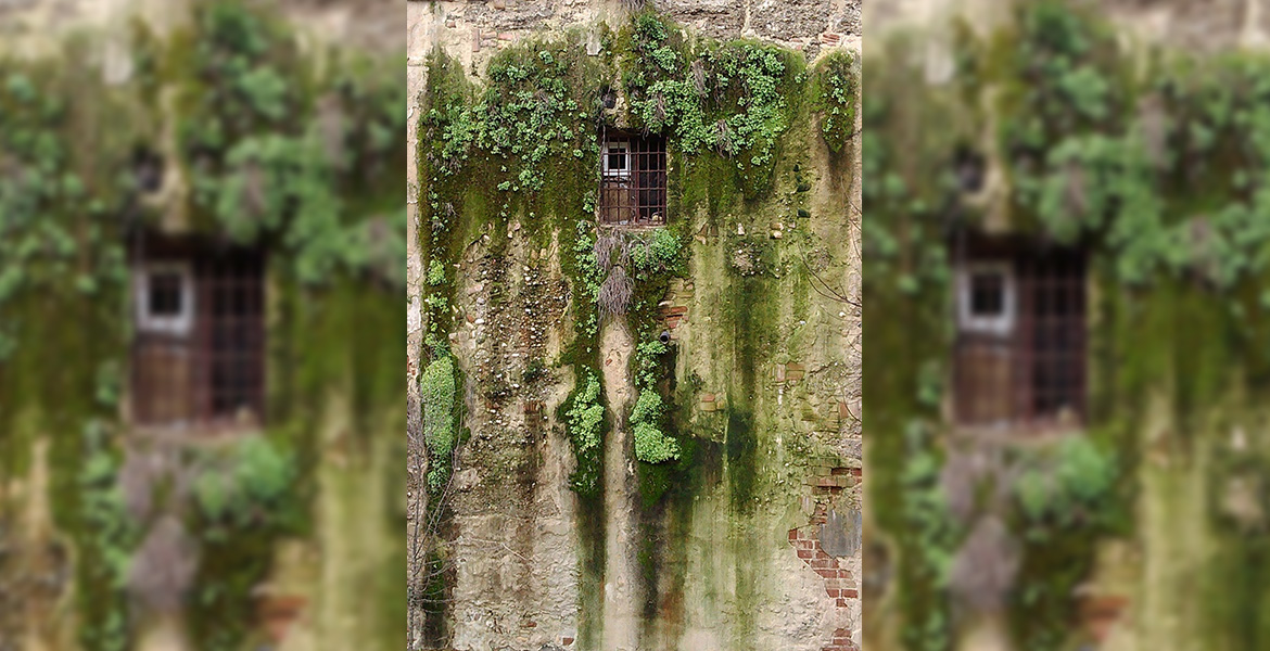 En la orilla del río, por Salvador Rivas