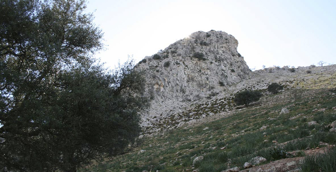 La Peña, por Salvador Rivas