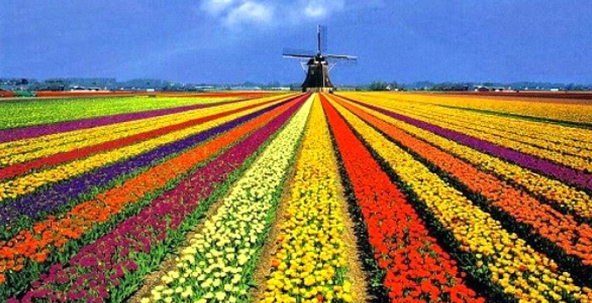 La hecatombe, por Salvador Rivas